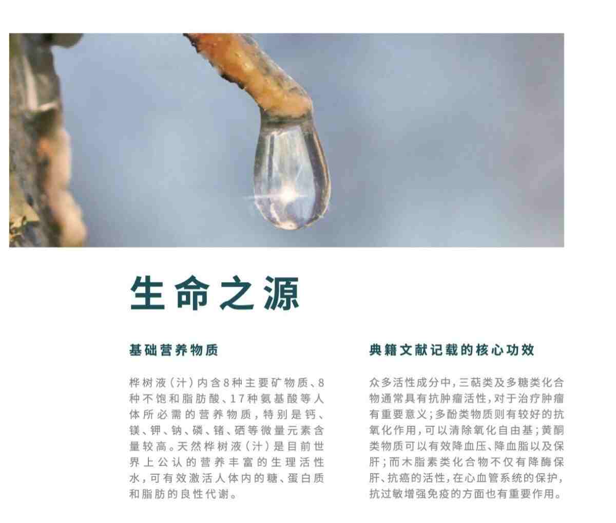 微信图片_20240410101459.jpg